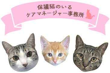 保護猫のいるケアマネージャー事務所